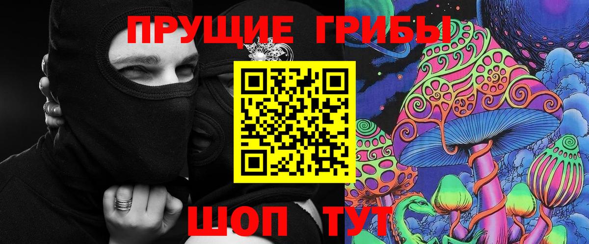 Мончегорск  Псилоцибиновые грибы мухоморы  Вход с VPN 